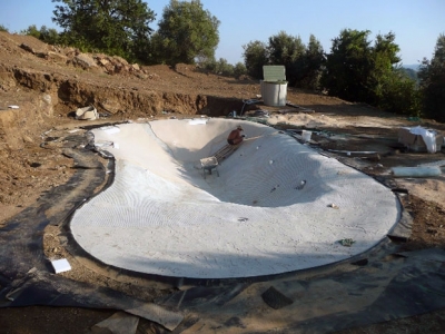 Construction of a Biodesign pool