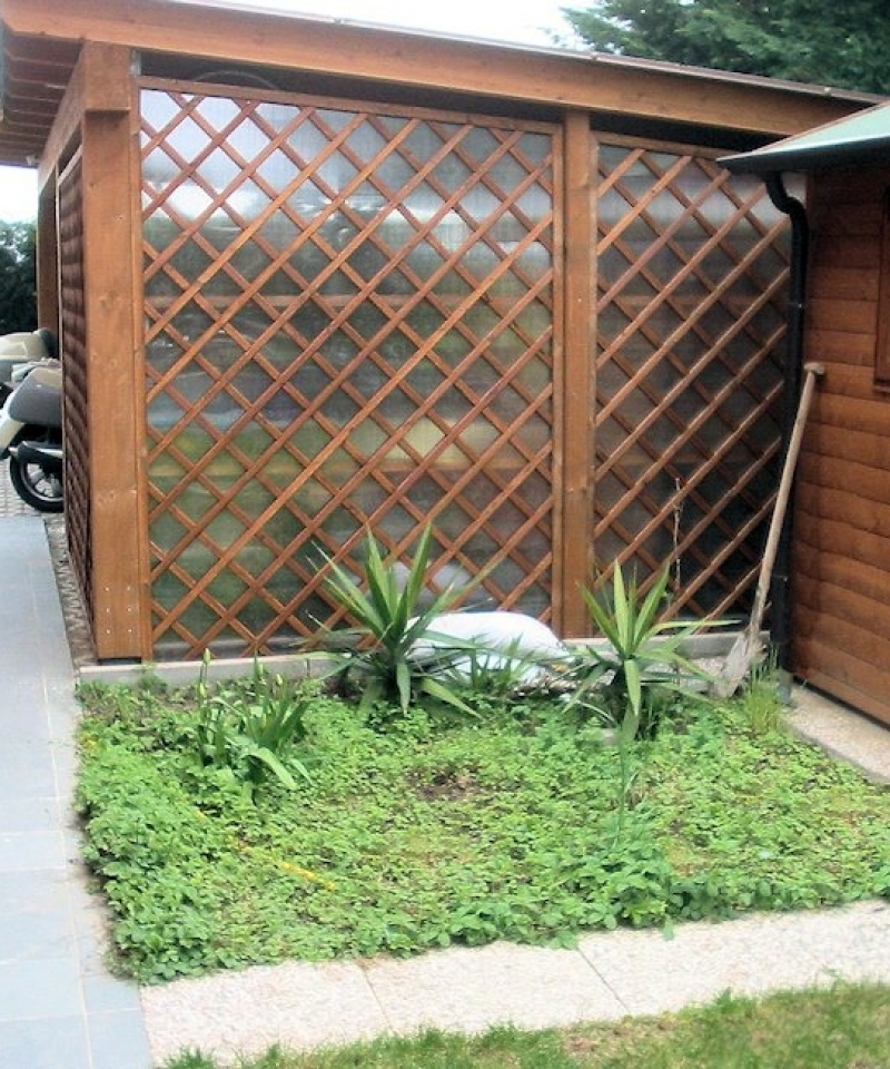Griglia da giardino diagonale in legno di pino, 100x4,4x180 cm